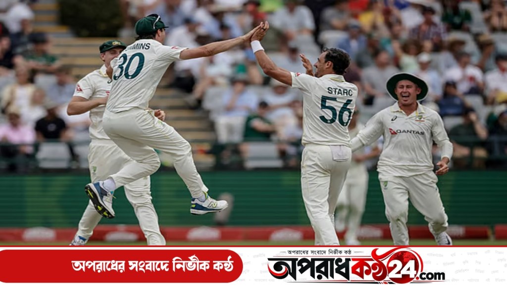 স্টার্কের জাদুকরি বোলিংয়ে ঘুরে দাঁড়াল অস্ট্রেলিয়া